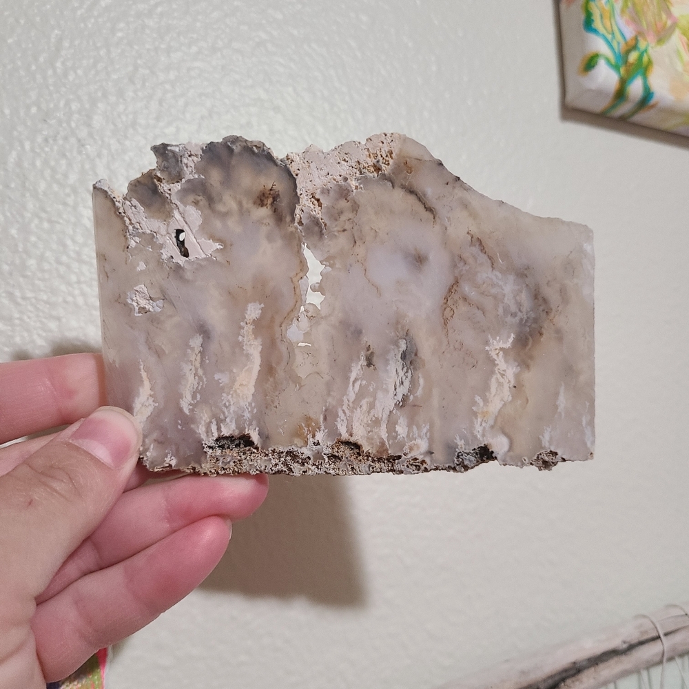 Gem Quartz Style Crystal Slice Raw Crystal Fossil